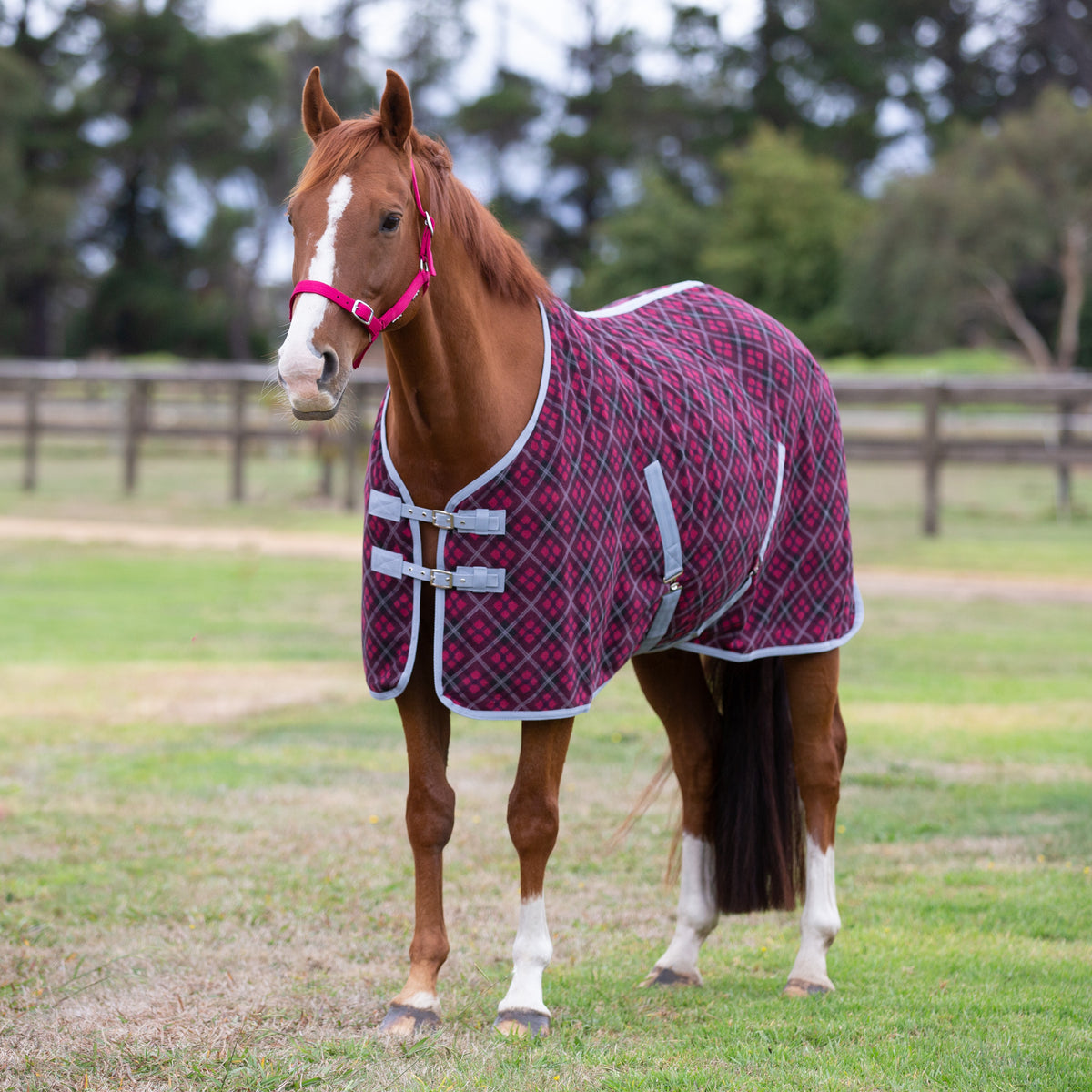 Eurohunter Thredbo II Fleece Rug Saddleworld