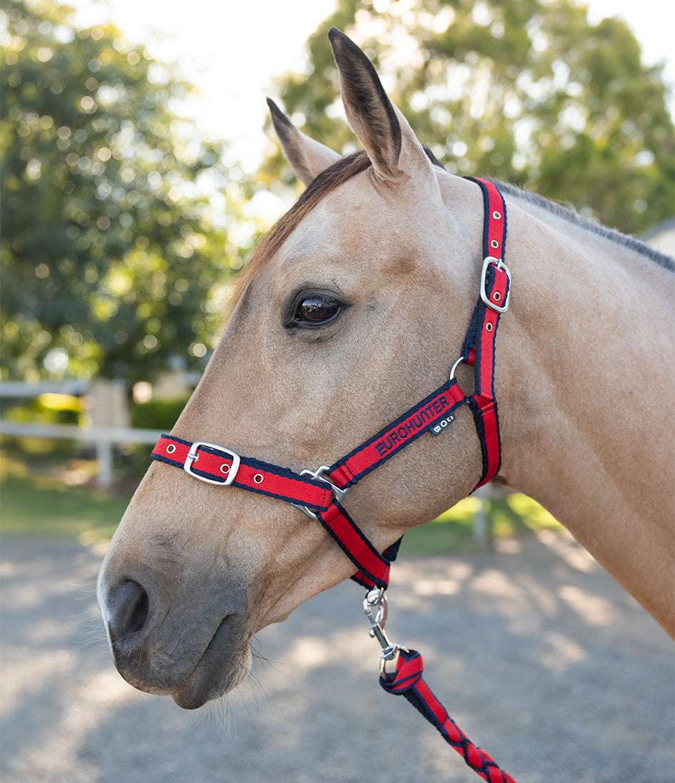 Eurohunter Comfort Halter & Lead Rope