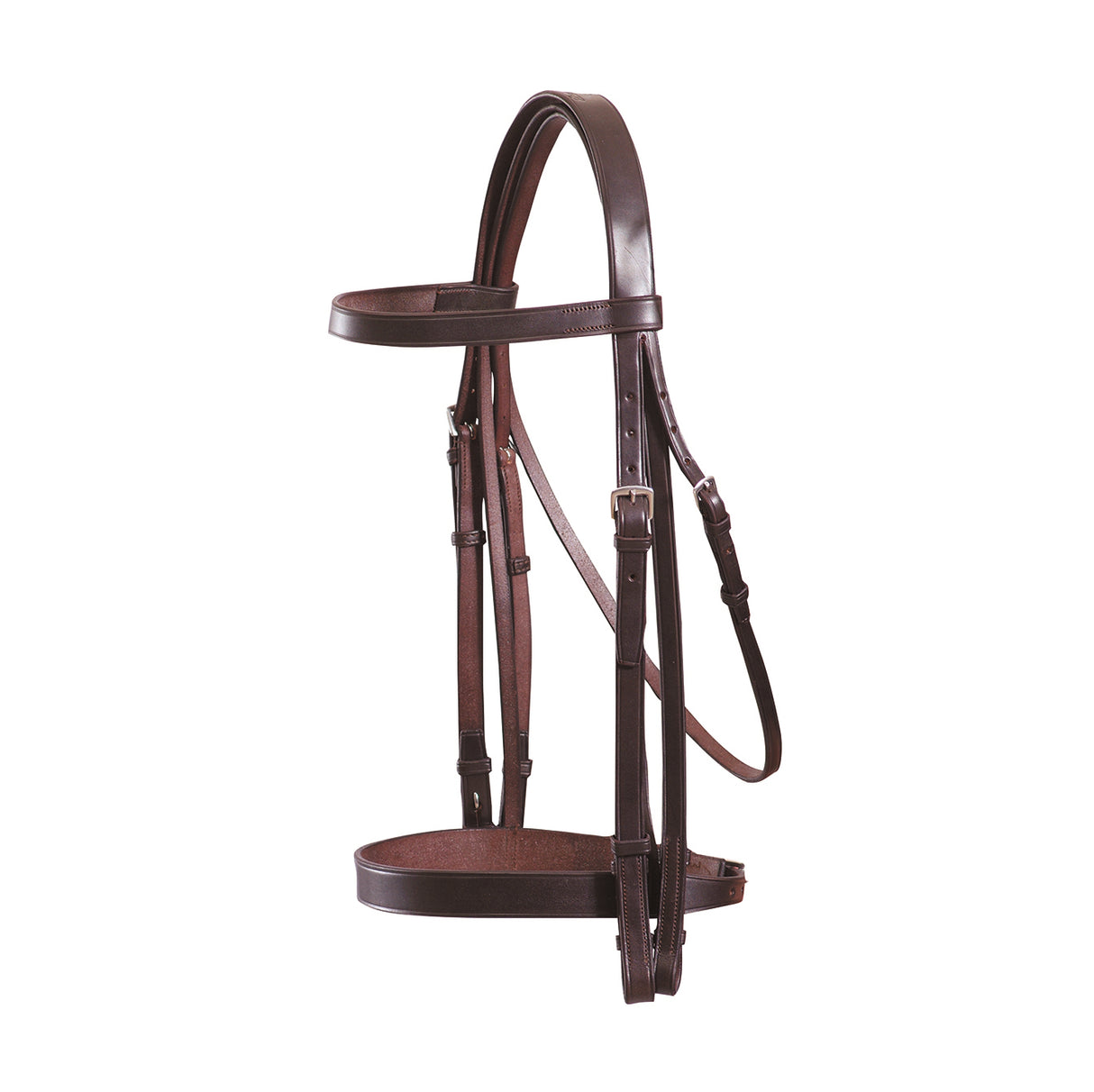 Grainge Elite Show Weymouth