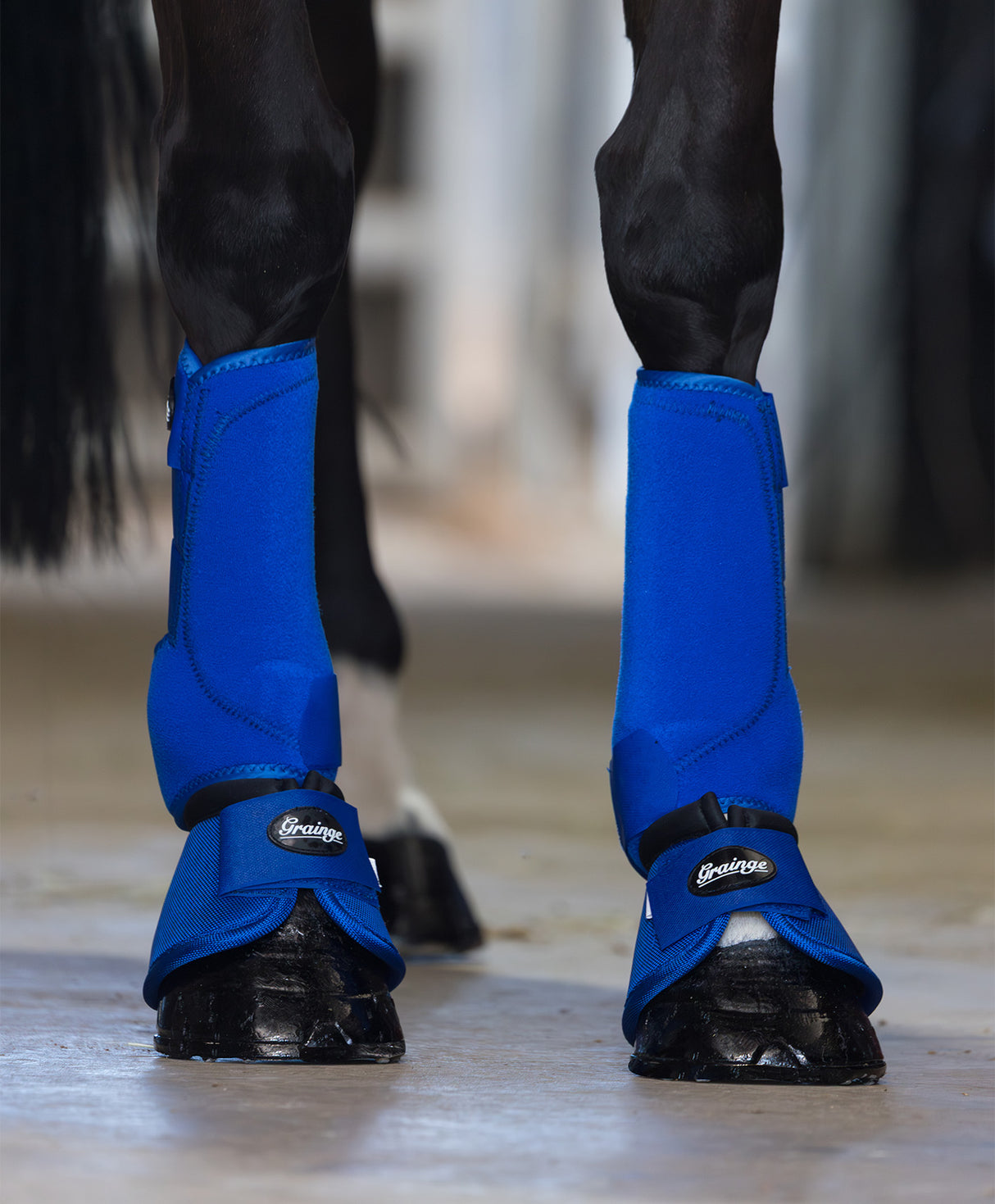 Grainge Sport Horse Boots