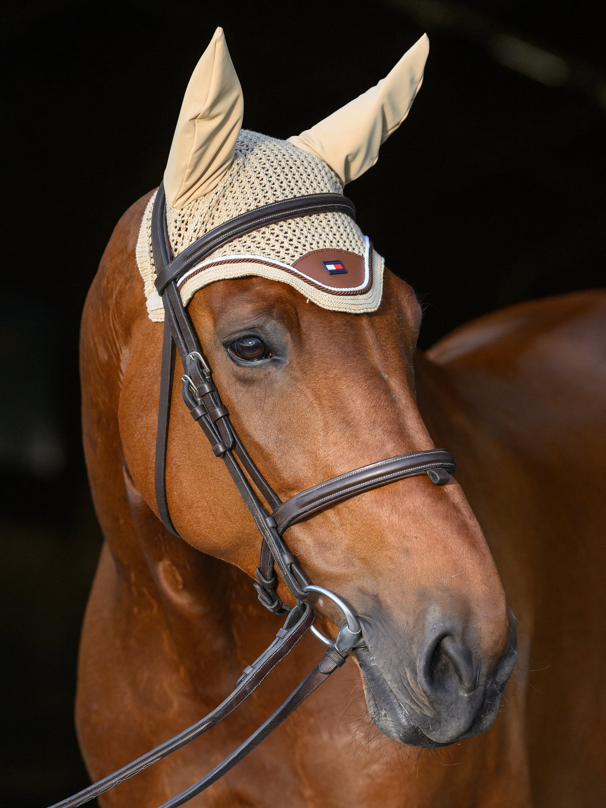 tommy-hilfiger-fly-hood