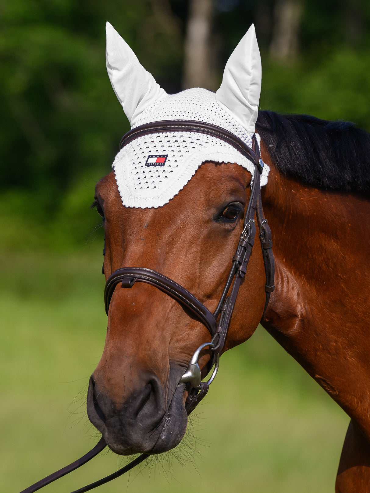 tommy-hilfiger-fly-hood