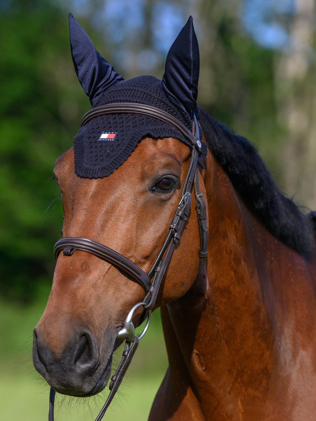tommy-hilfiger-fly-hood