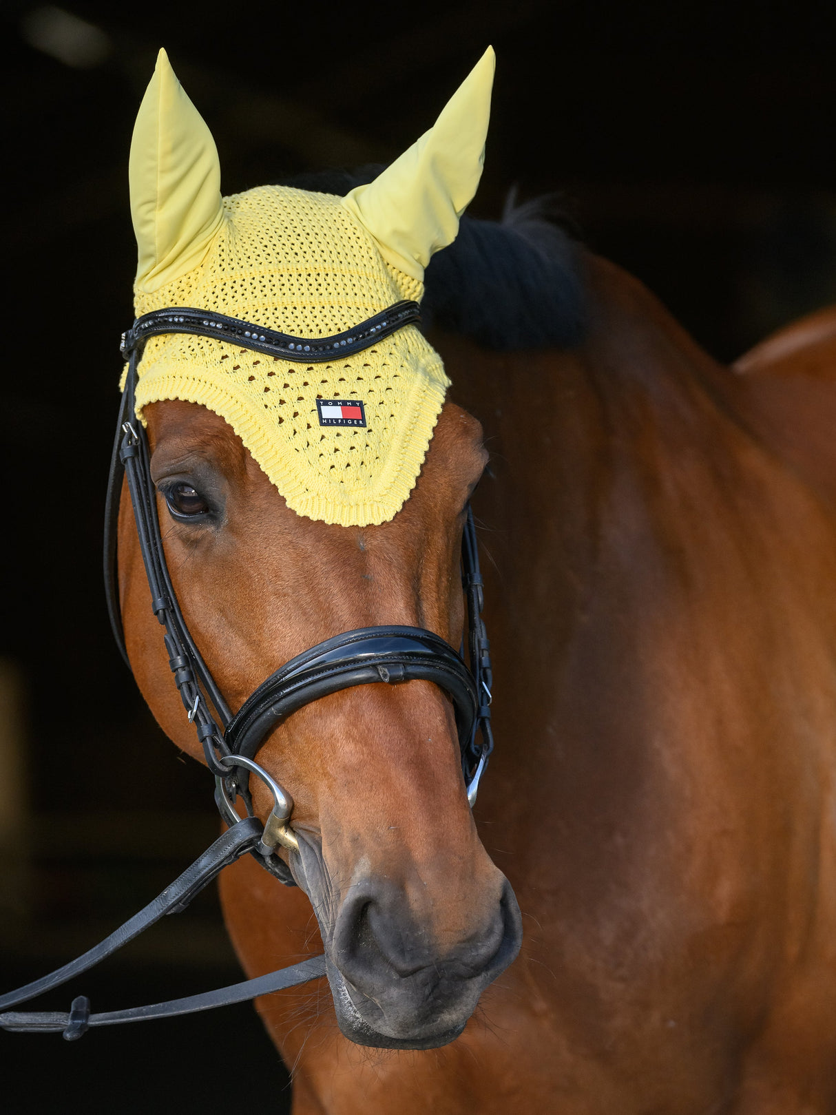 tommy-hilfiger-fly-hood