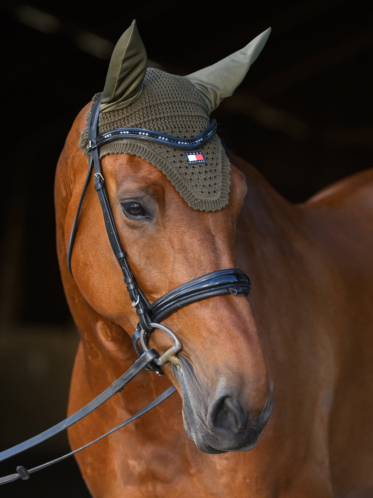 tommy-hilfiger-fly-hood