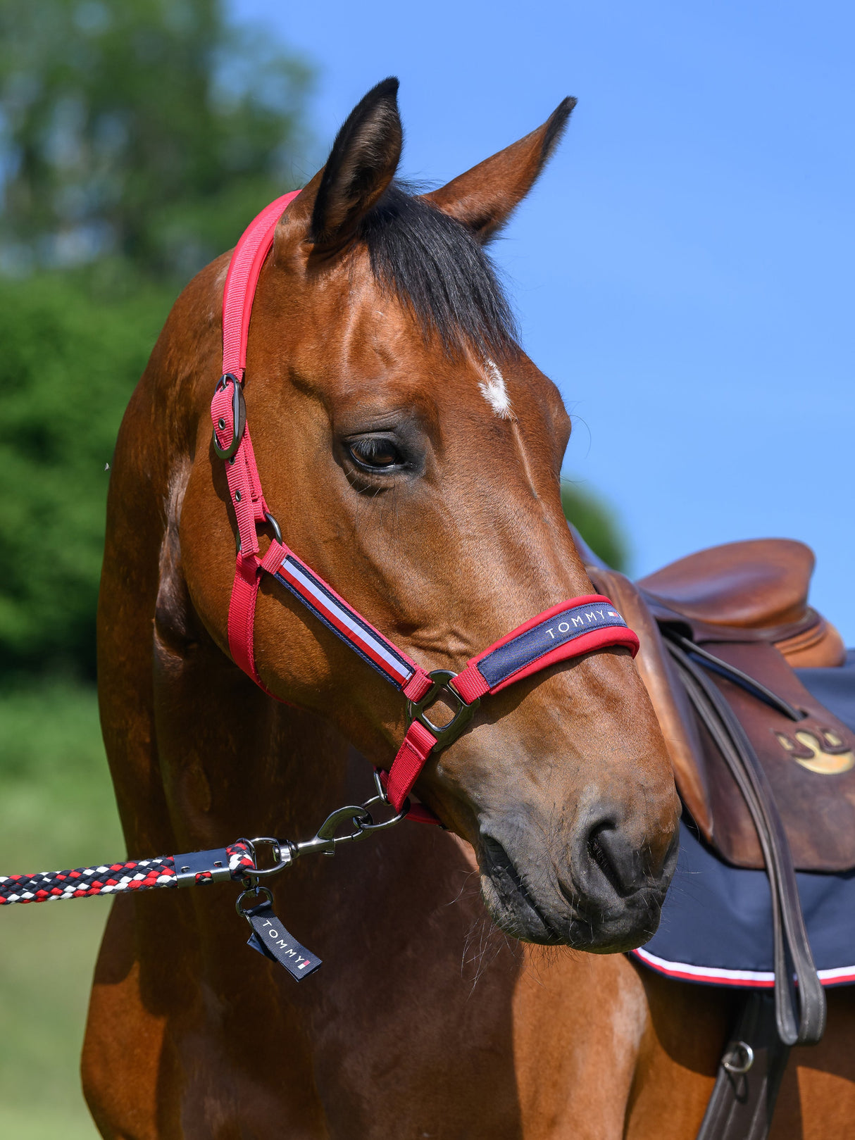 tommy-hilfiger-halter