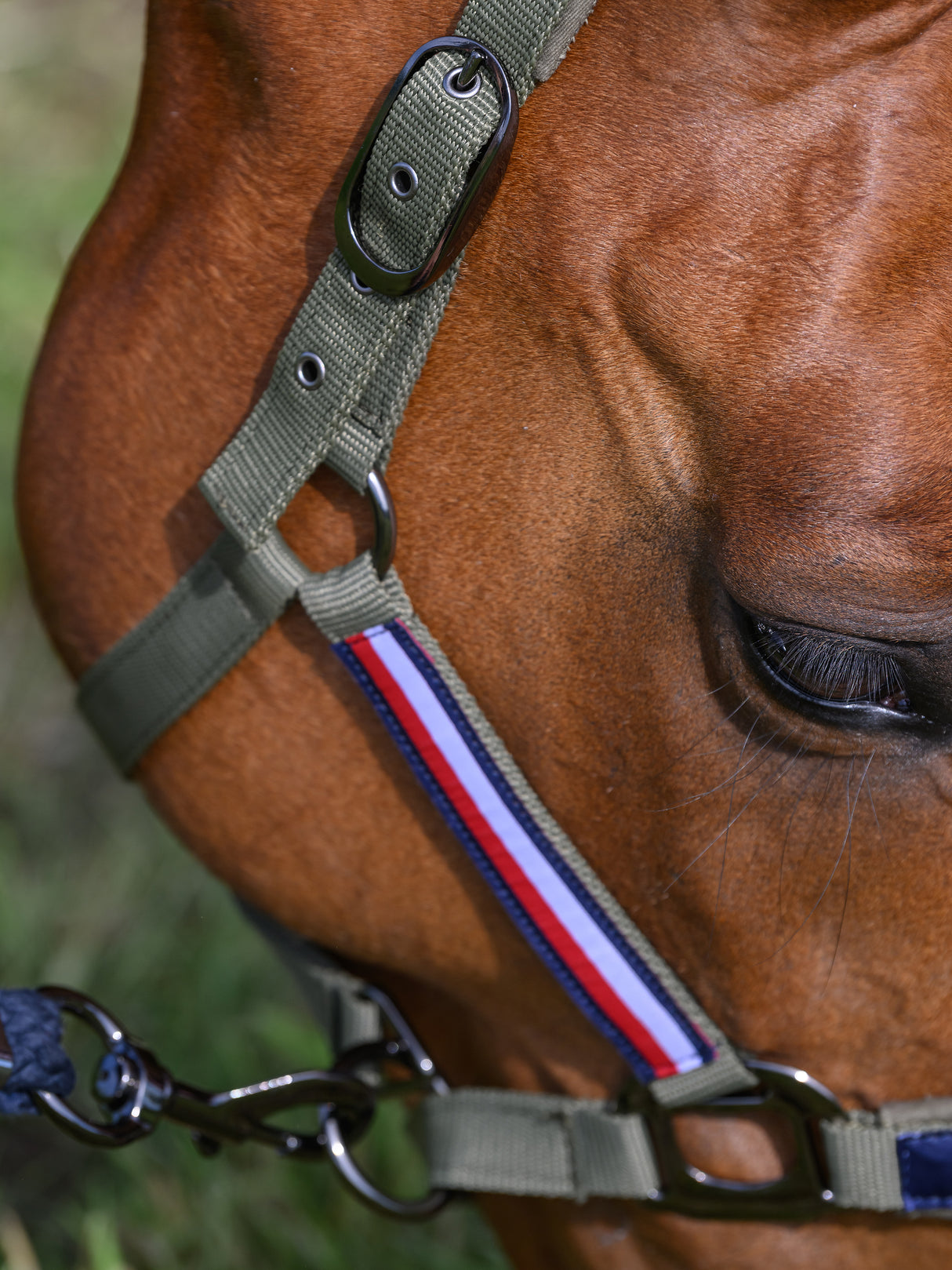 Tommy Hilfiger Lincoln Halter