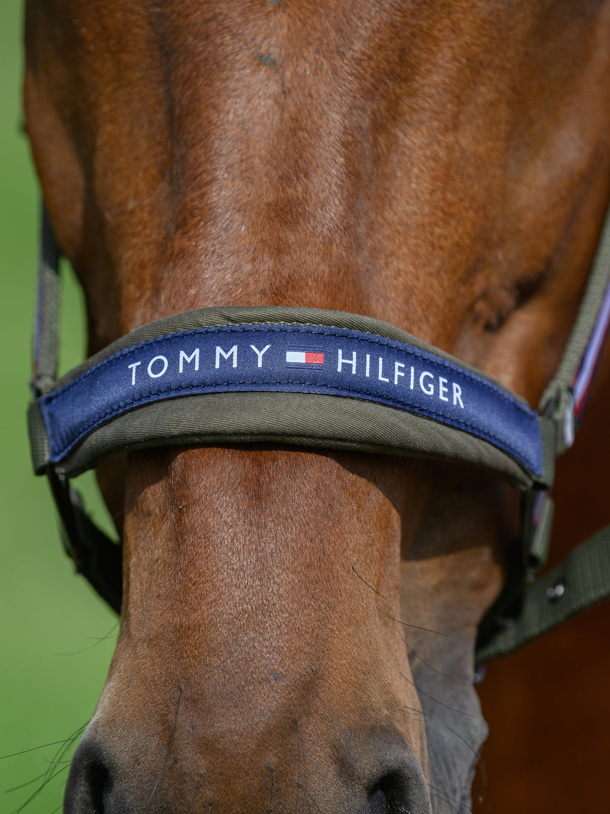 Tommy Hilfiger Lincoln Halter