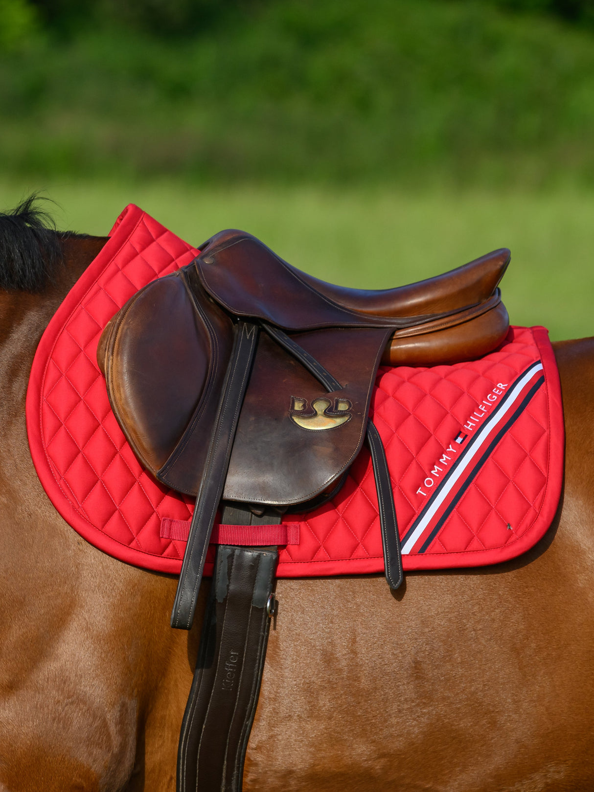 tommy-hilfiger-saddlepad