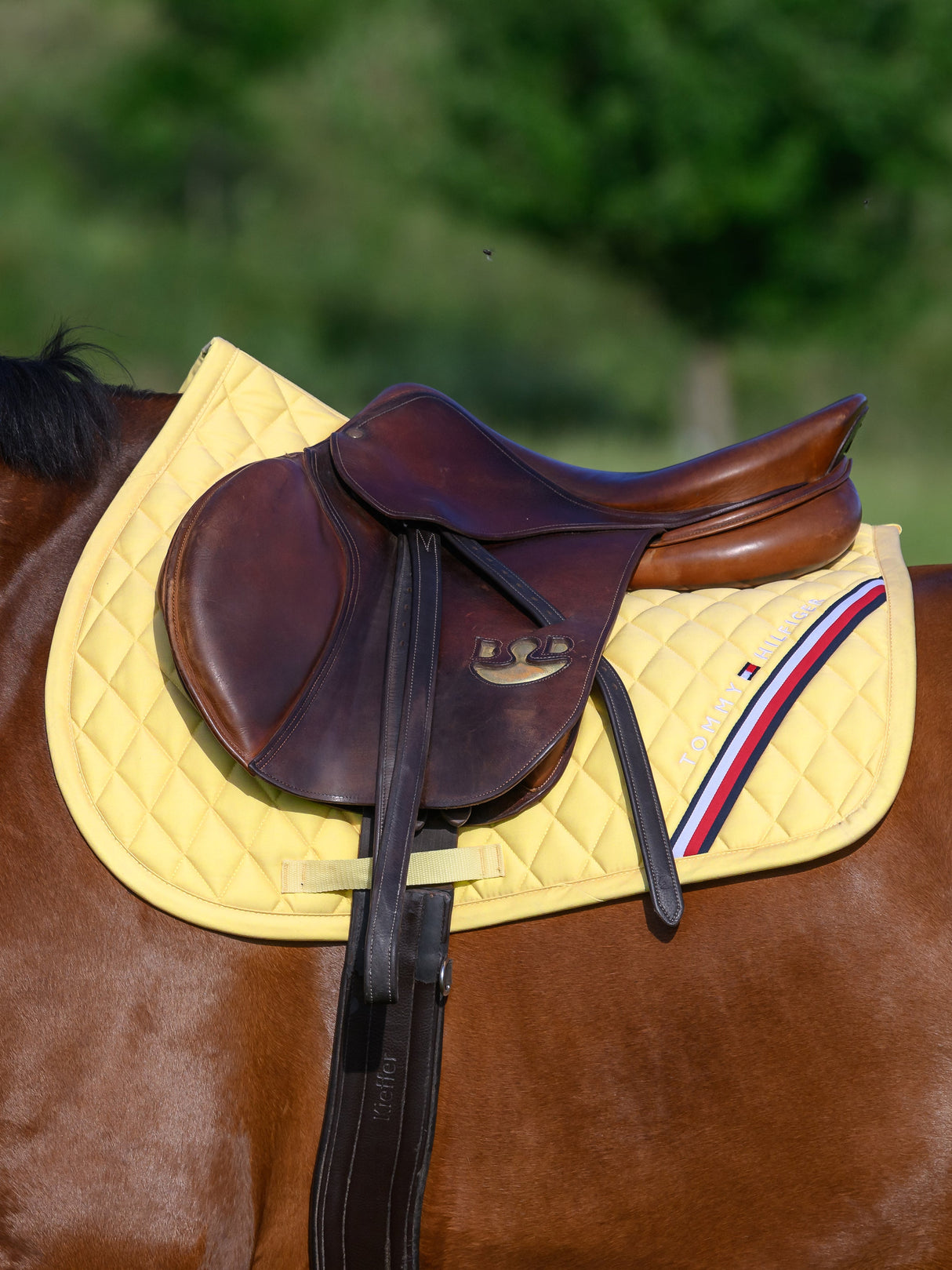 tommy-hilfiger-saddlepad