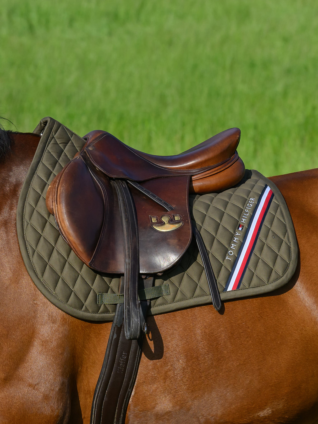tommy-hilfiger-saddlepad