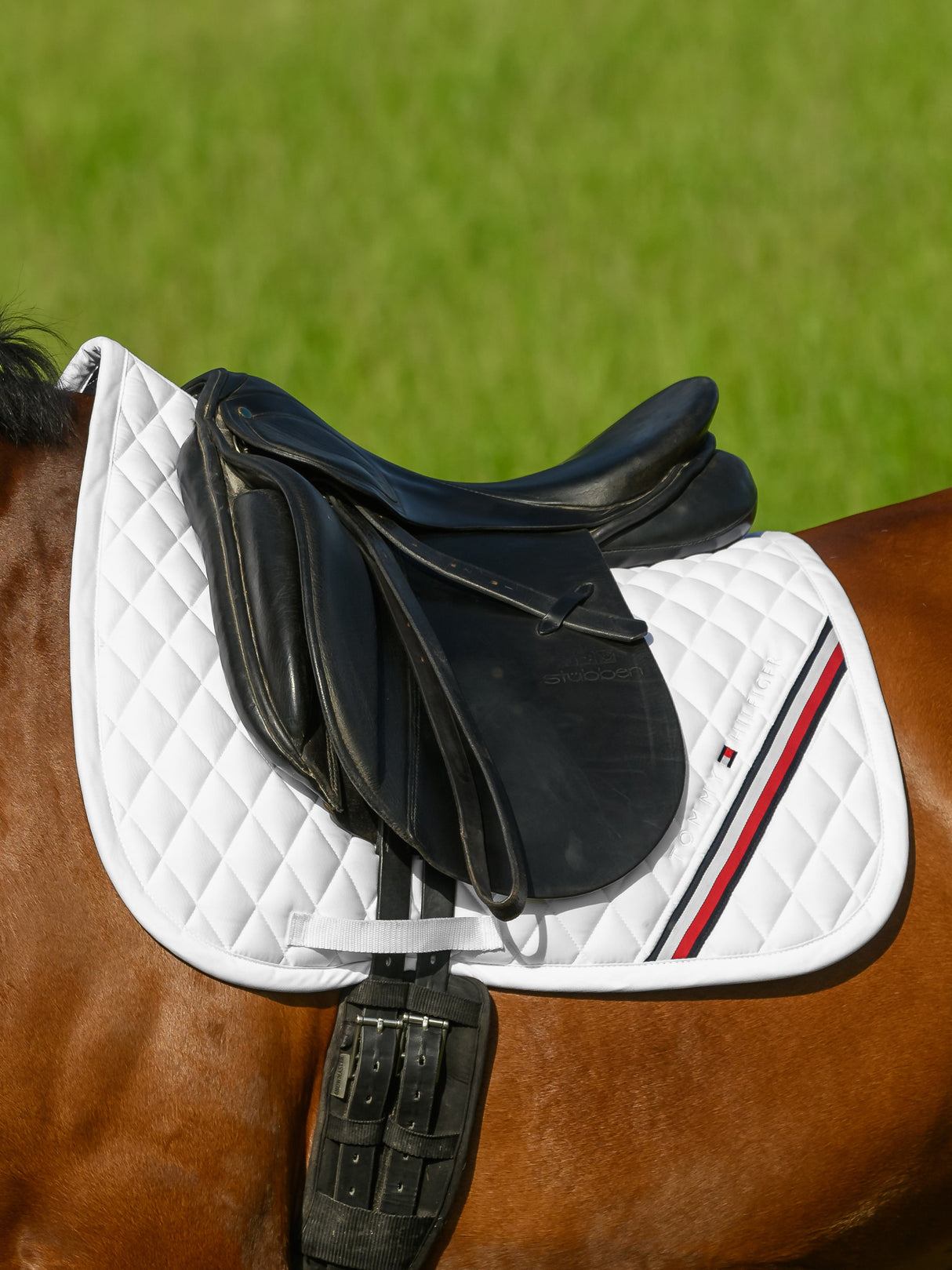 tommy-hilfiger-saddlepad