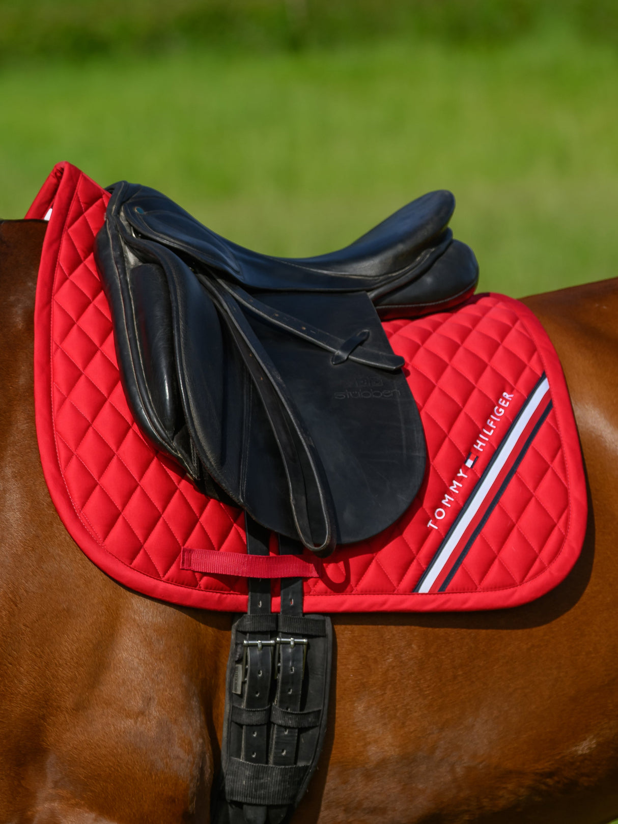 tommy-hilfiger-saddlepad