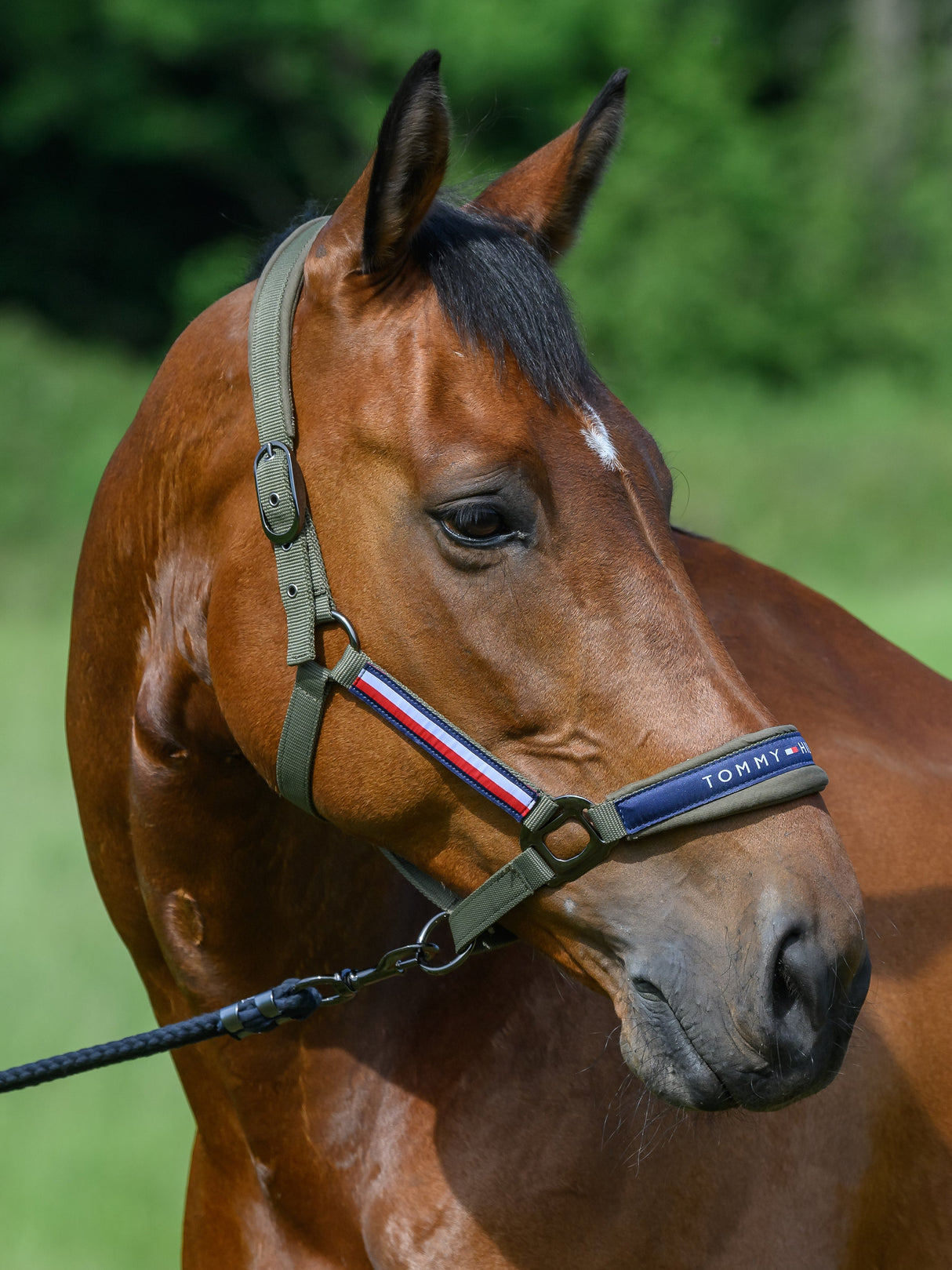 tommy-hilfiger-halter-rope
