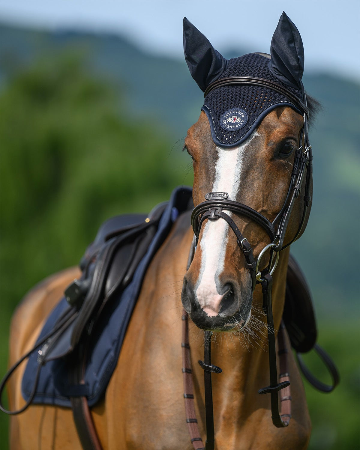 Tommy Hilfiger Emory Fly Hood DESERT SKY