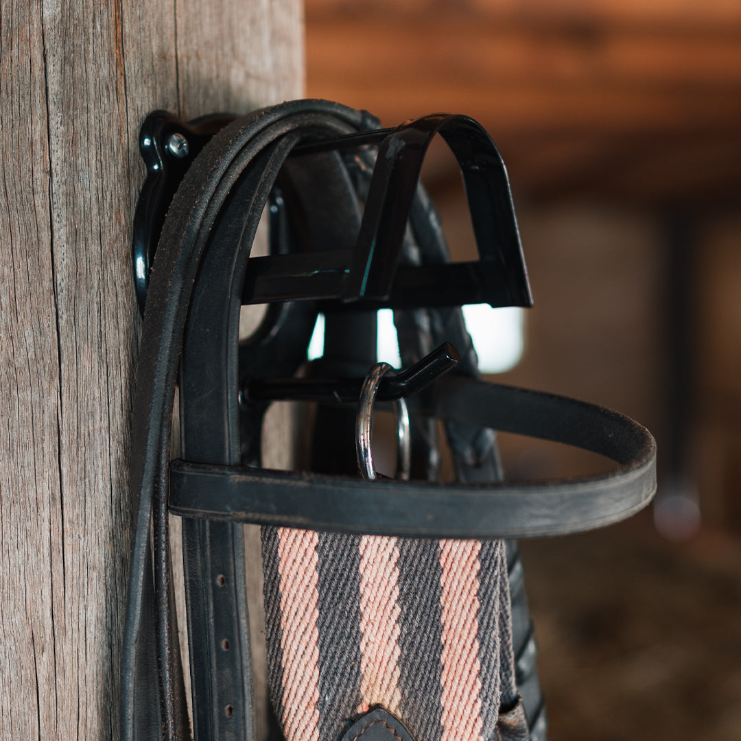 Academy Bridle Rack