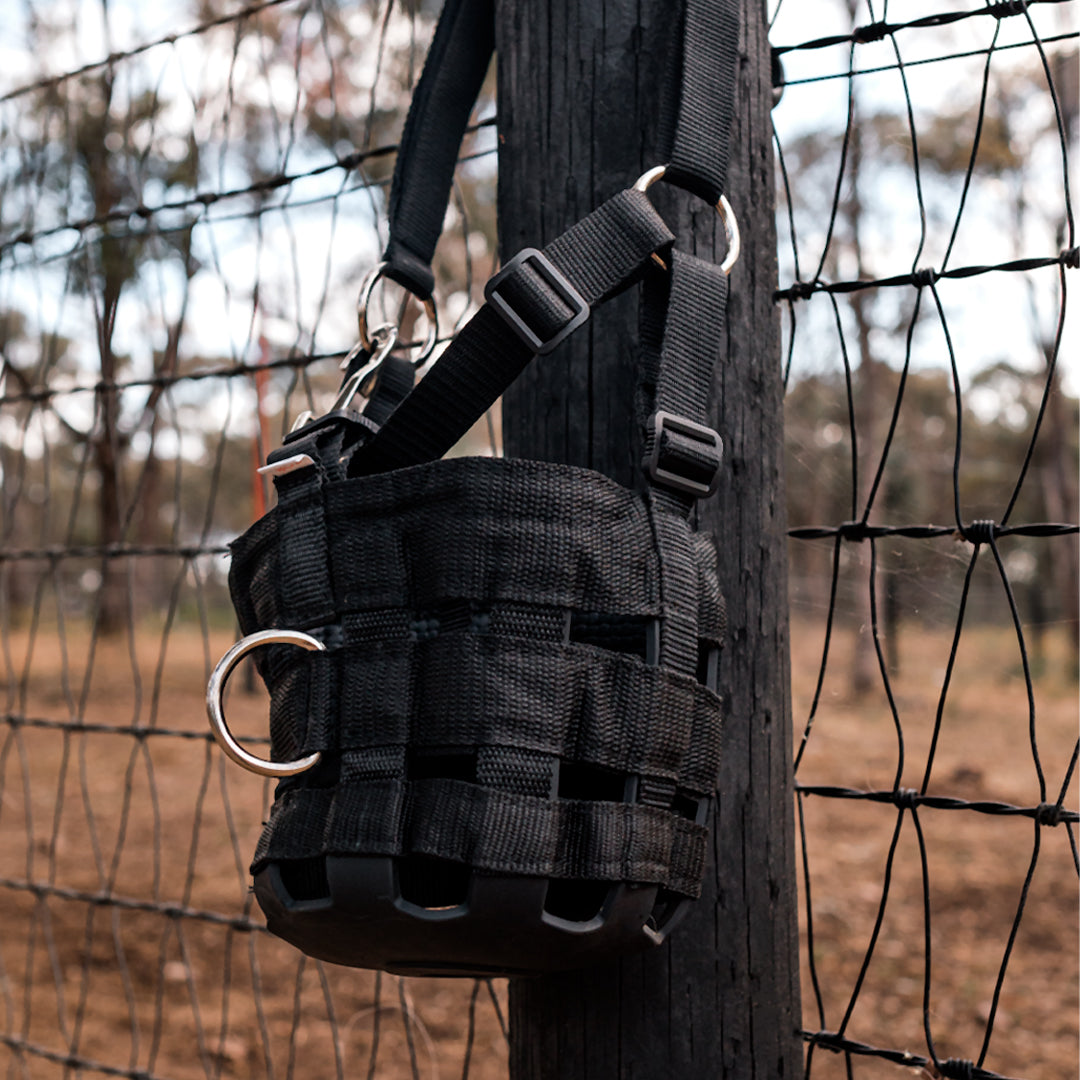 Eurohunter Grazing Muzzle