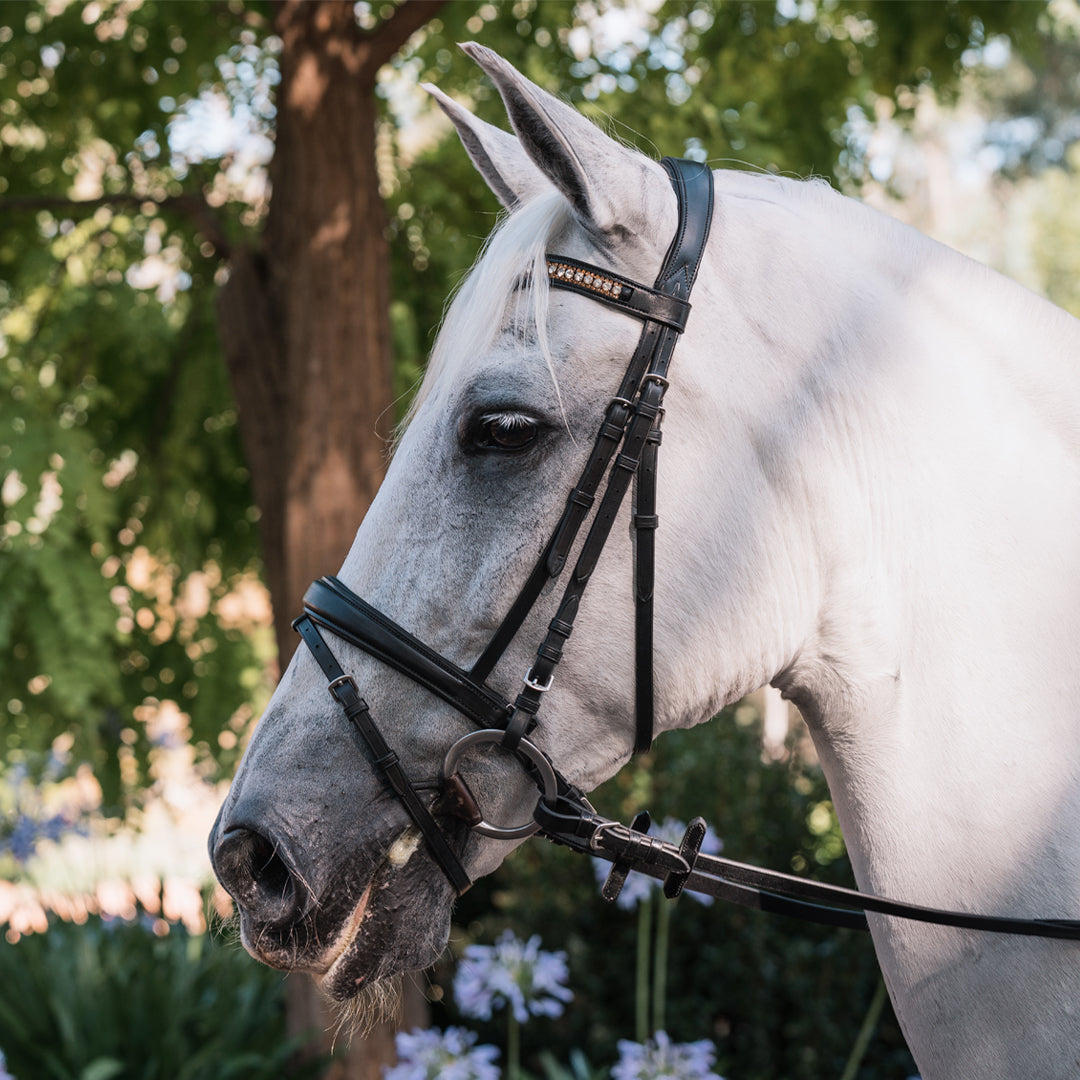 Grainge Elite Dressage Snaffle With Crystal Browband