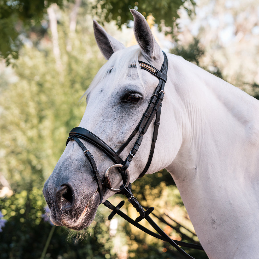 Grainge Elite Dressage Snaffle With Crystal Browband