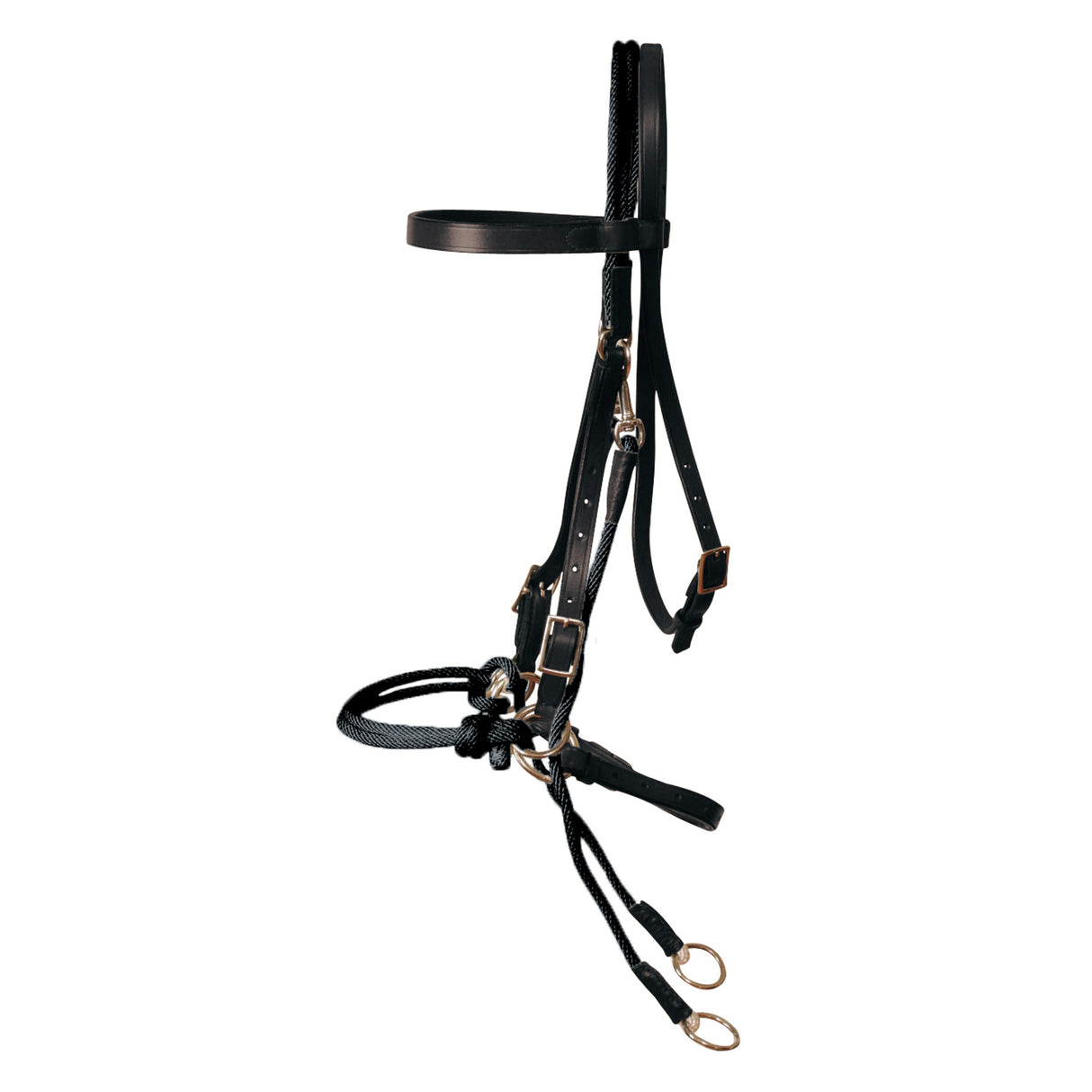 Ammo Bitmore Bridle
