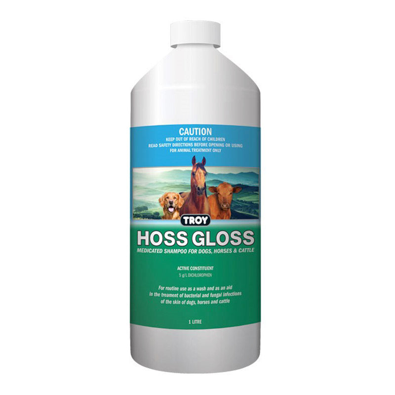 Troy Hoss Gloss