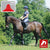 Thorowgood T8 Dressage High Wither