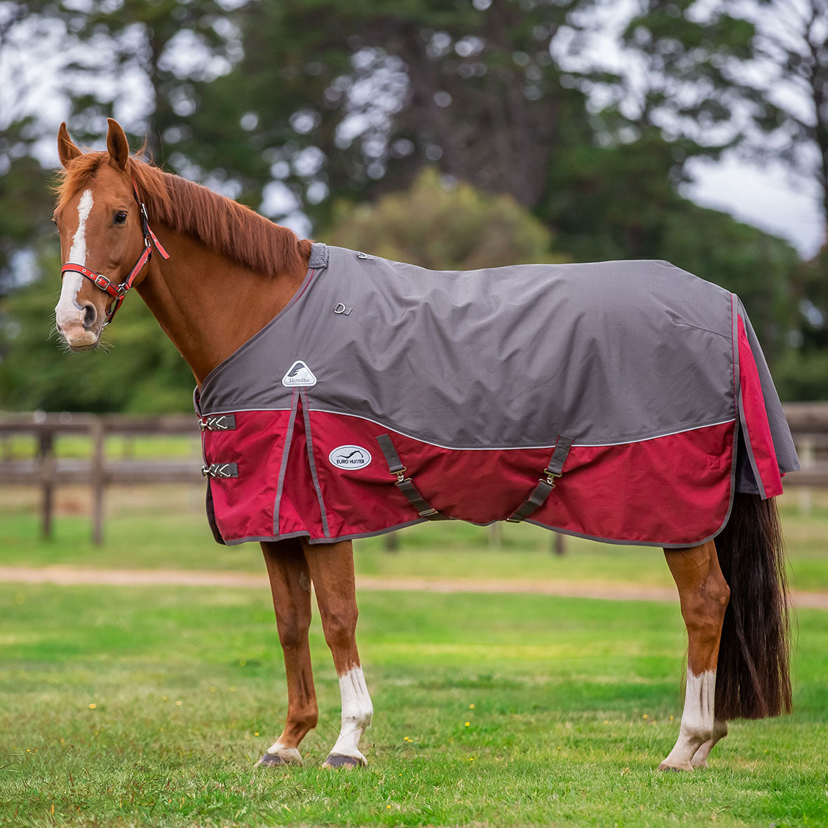 Eurohunter Thredbo II Rug