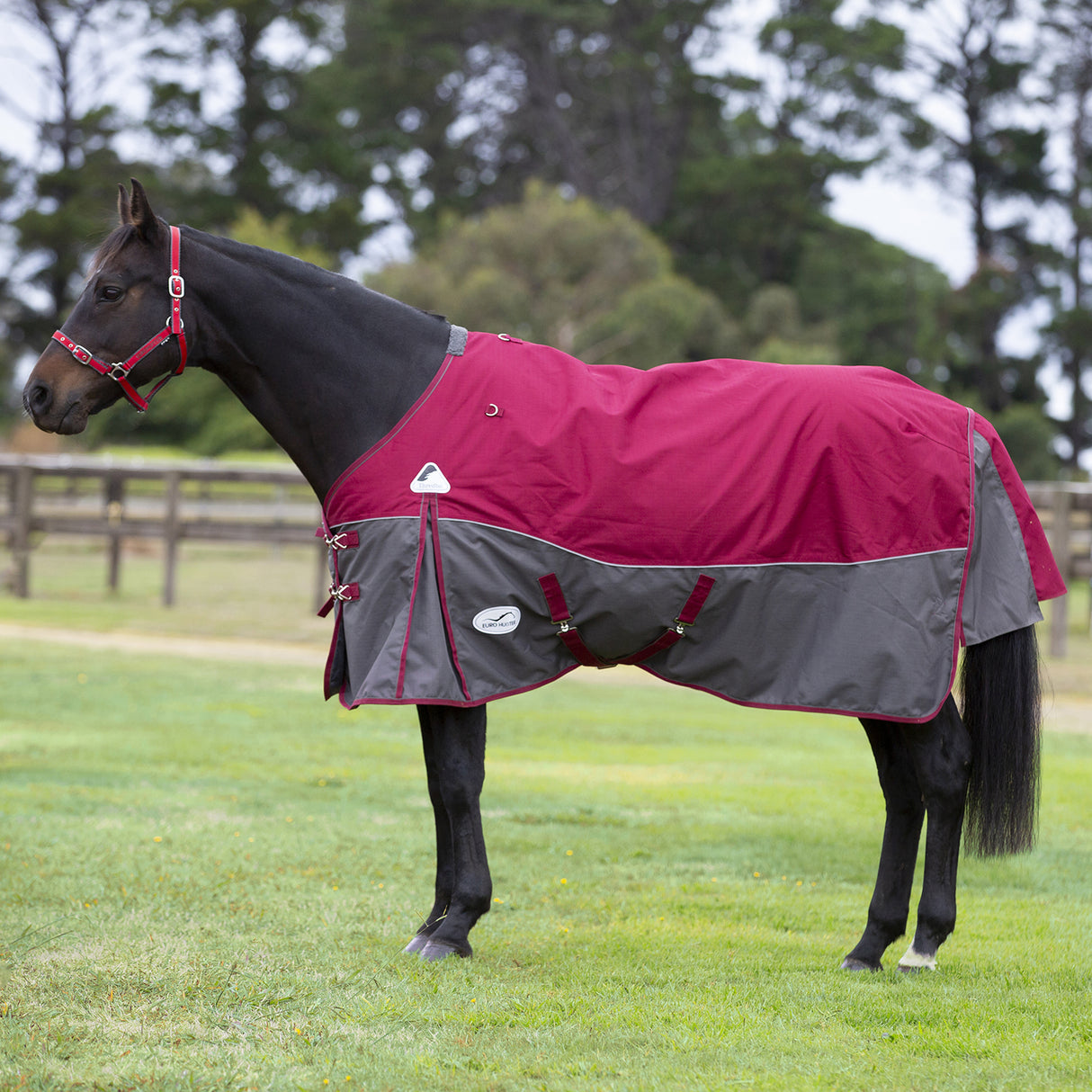 Eurohunter Thredbo Light Rug