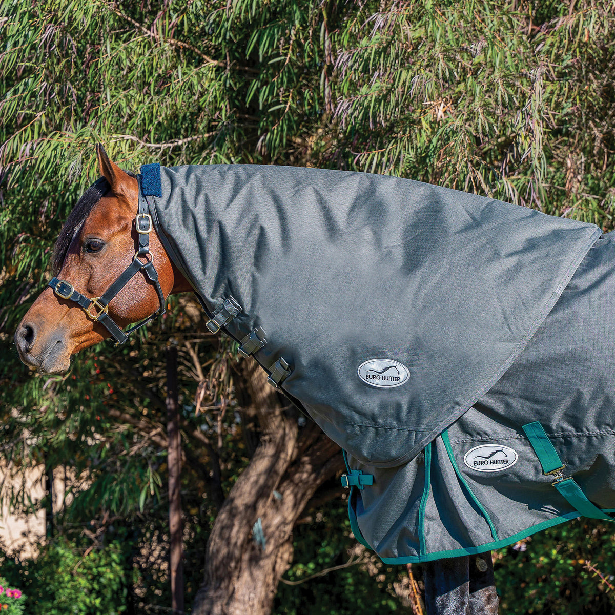 Eurohunter Neck Rug 600D/180gm Saddleworld