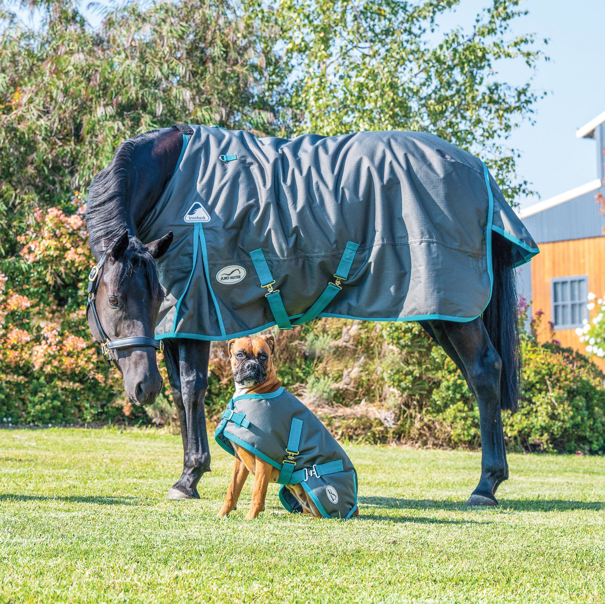 Eurohunter Ironbark Rug Saddleworld