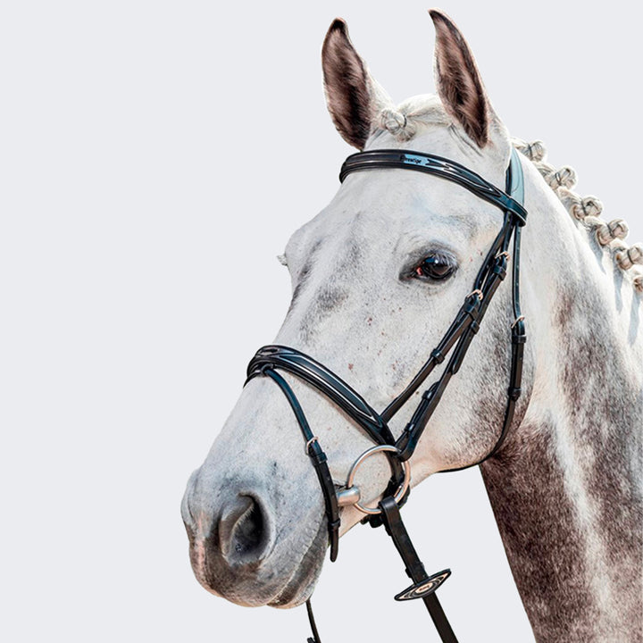 Prestige High-Line Bridle