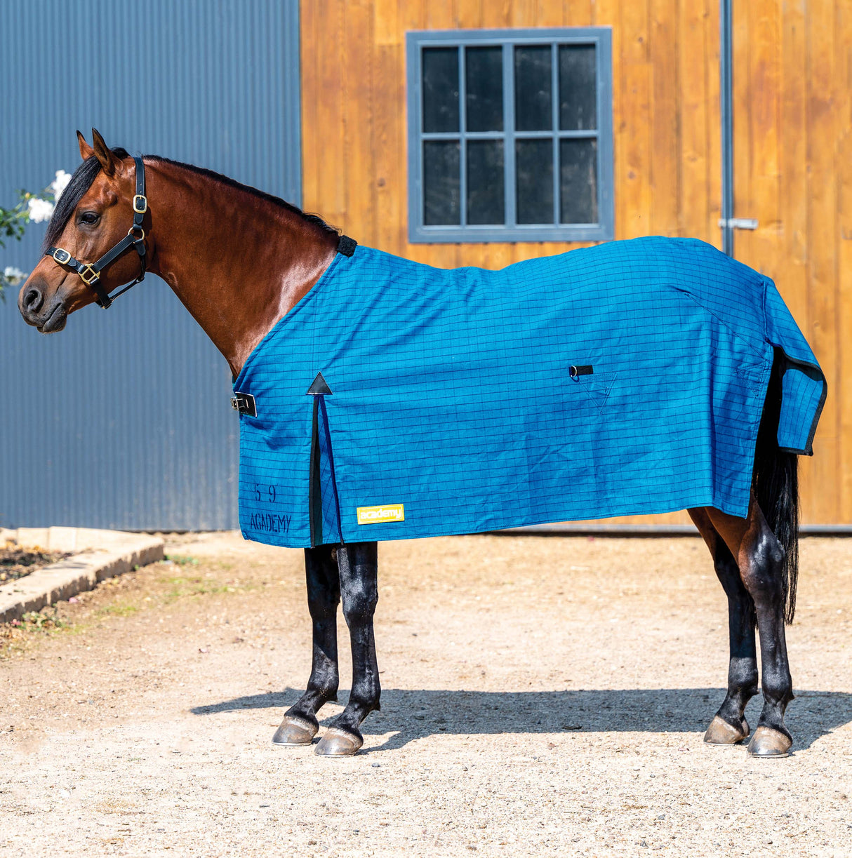Academy New Canvas Rug