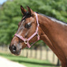 Eurohunter Essential Halter
