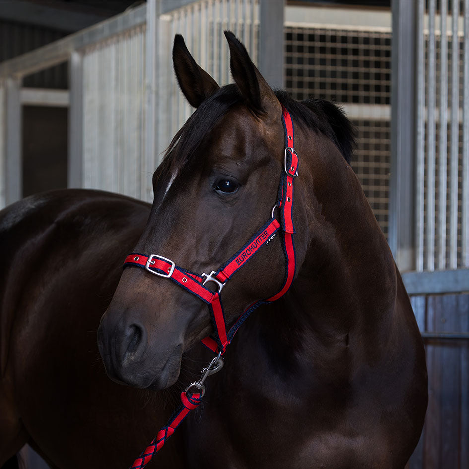Eurohunter Comfort Halter & Lead Rope