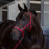 Eurohunter Comfort Halter & Lead Rope