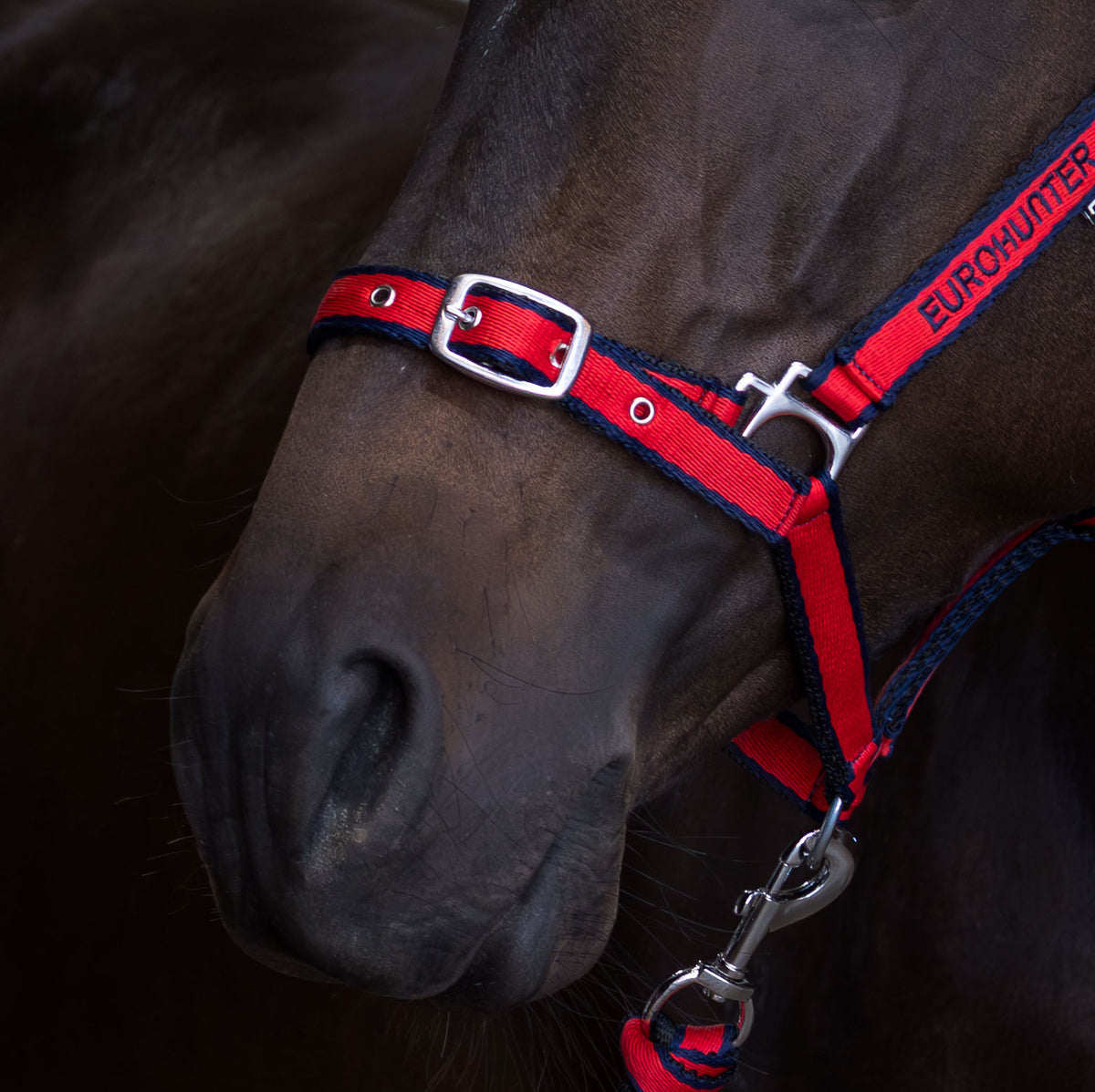 Eurohunter Comfort Halter & Lead Rope