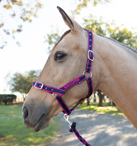 Eurohunter Comfort Halter & Lead Rope