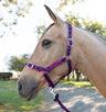 Eurohunter Comfort Halter & Lead Rope