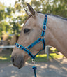 Eurohunter Comfort Halter & Lead Rope