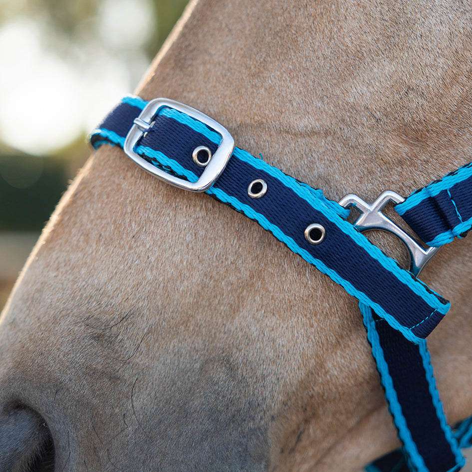 Eurohunter Comfort Halter & Lead Rope