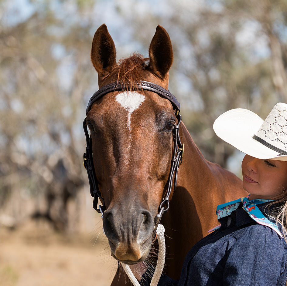 Eurohunter Plaited Barcoo Bridle