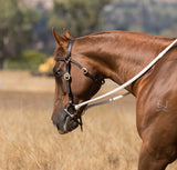 Eurohunter Plaited Barcoo Bridle