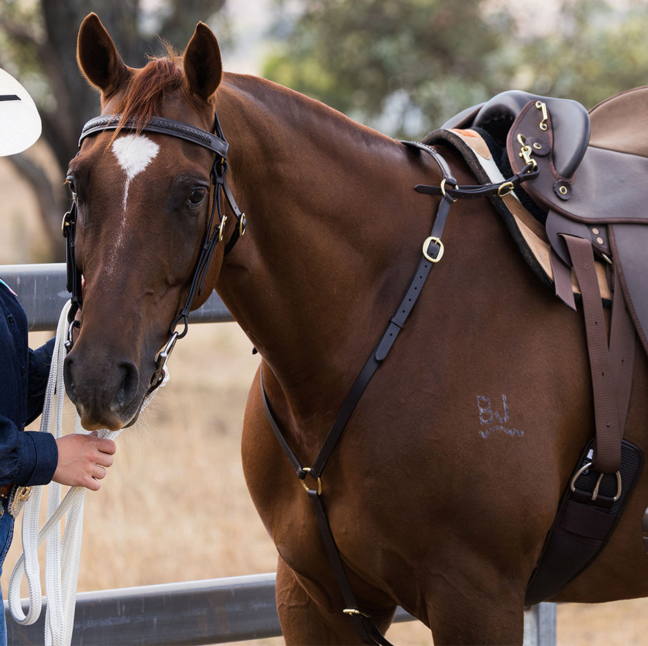 Eurohunter Plaited Stockman Breastplate