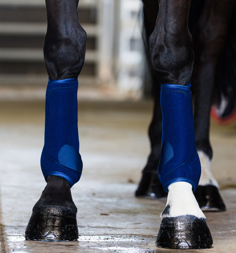Grainge Sport Horse Boots