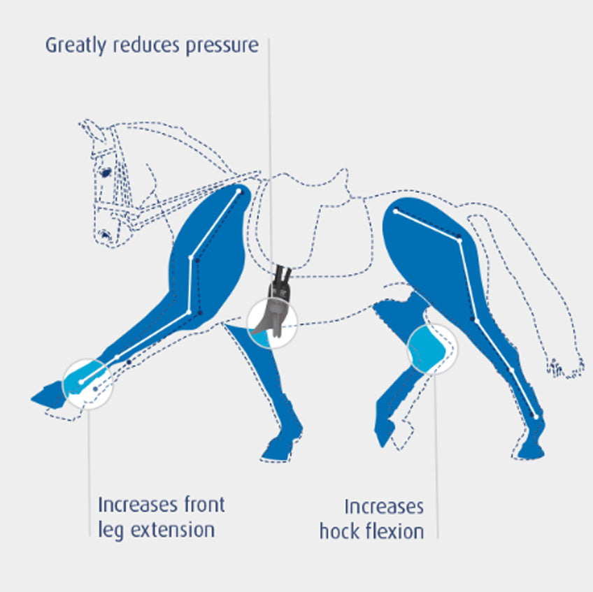 ProLite Short Girth Standard