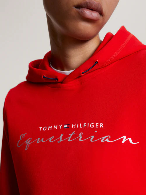 Tommy hilfiger metallic hoodie hotsell