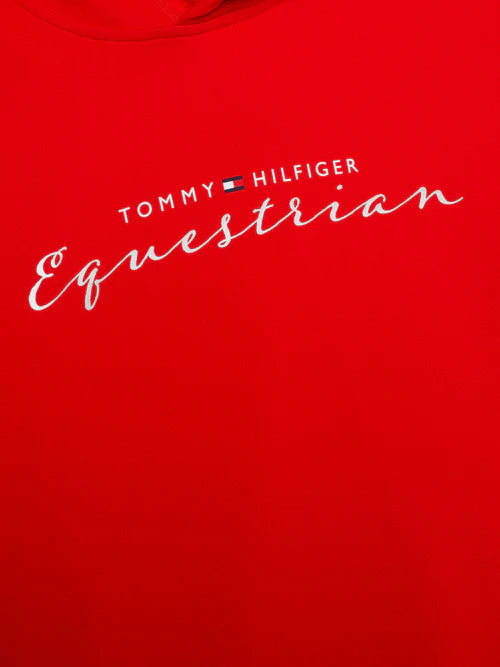 Tommy Hilfiger Metallic Logo Graphic Hoodie