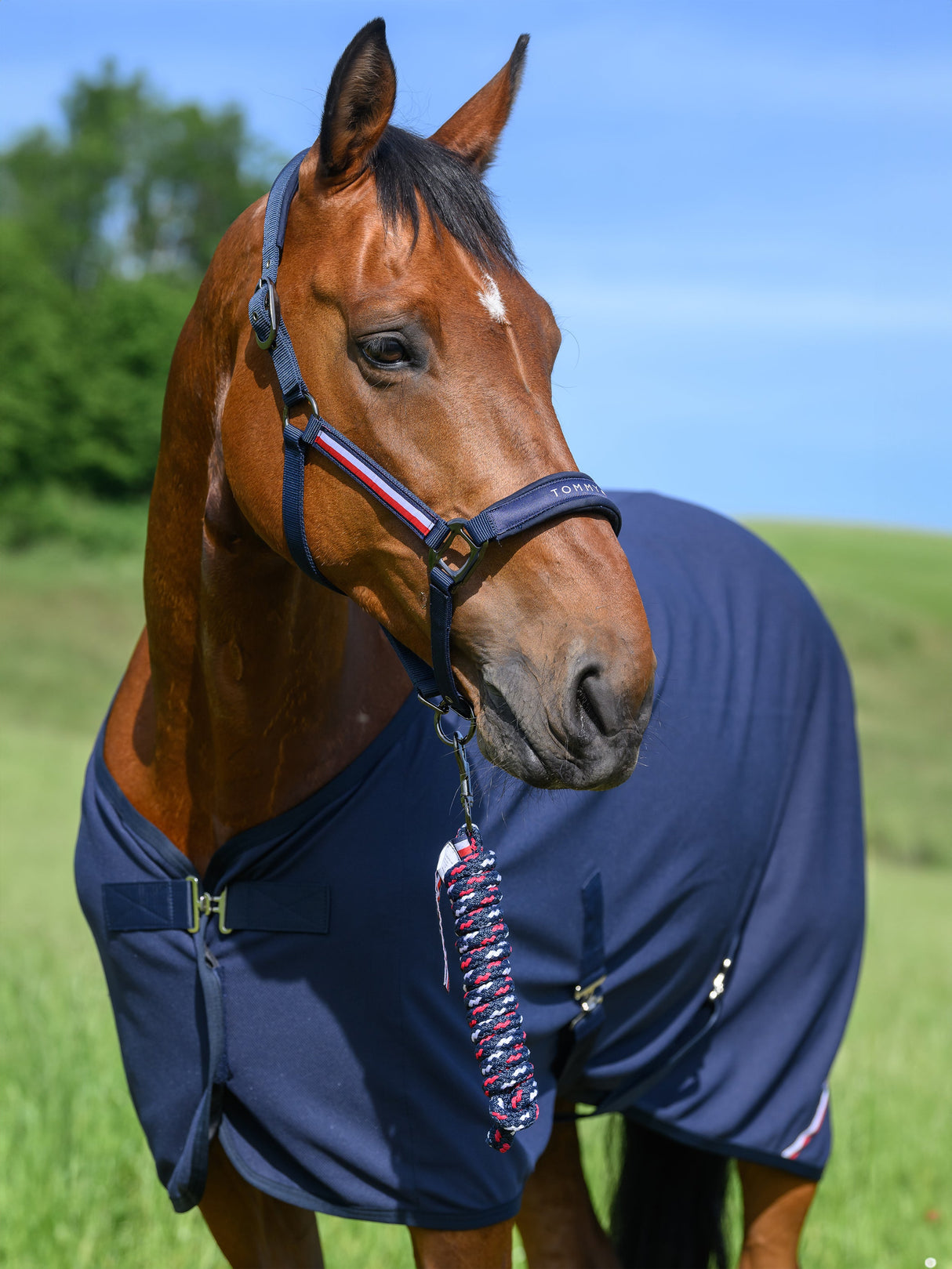 tommy-hilfiger-halter