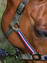 Tommy Hilfiger Lincoln Halter
