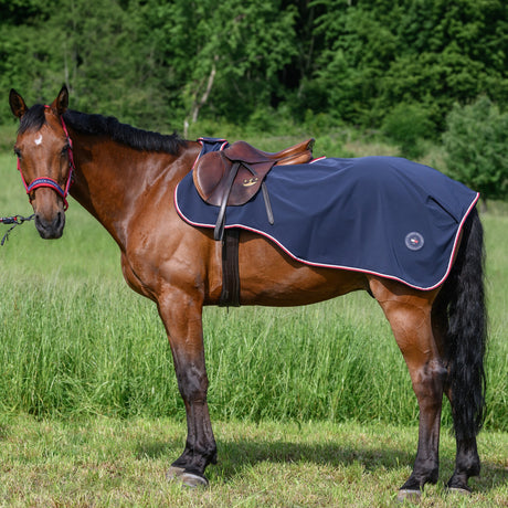 tommy-hilfiger-rug